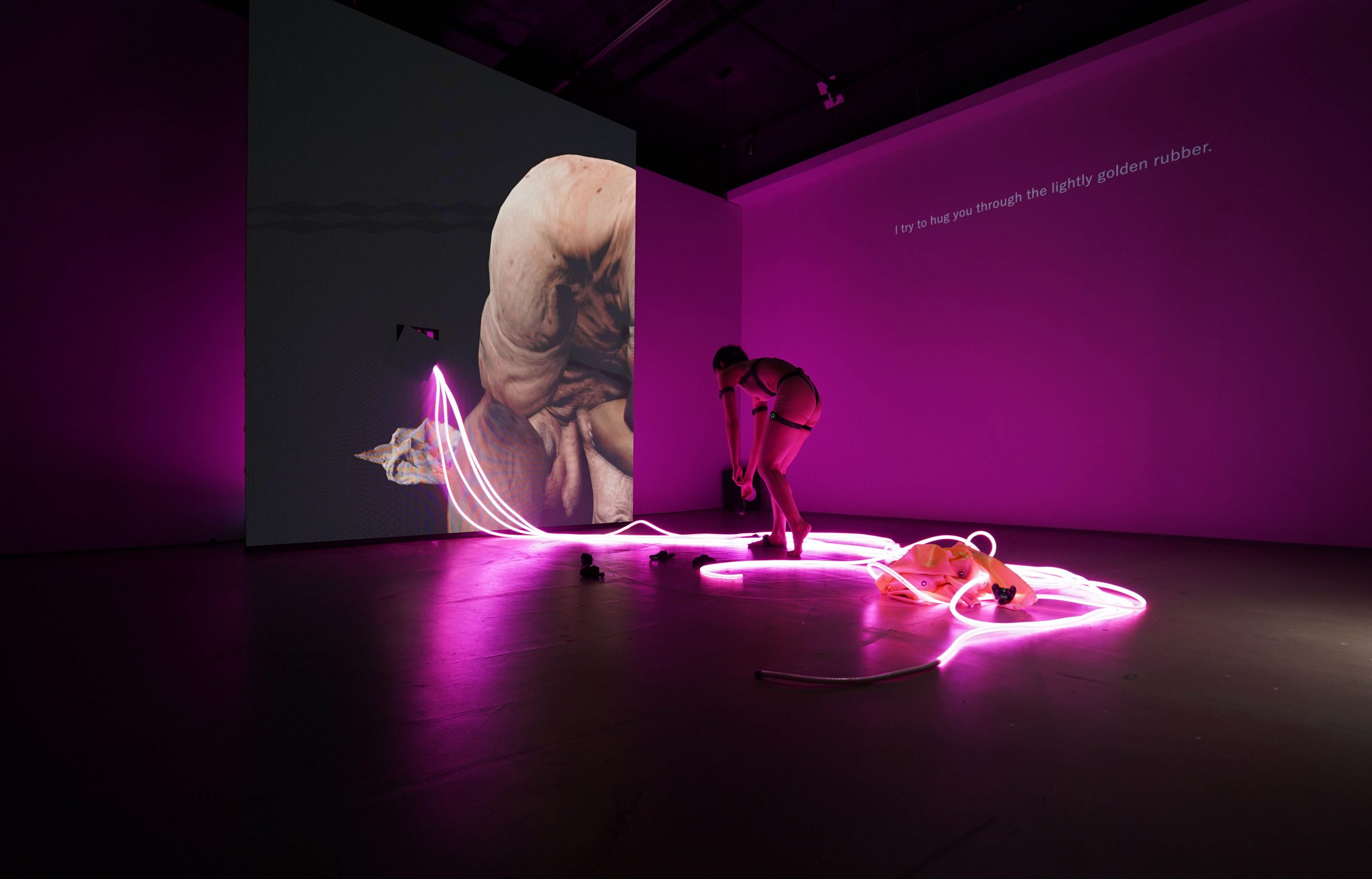 Maihime (Dancing Princess)／installation, performance 2021 dimension variable